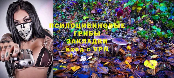 мескалин Алексин