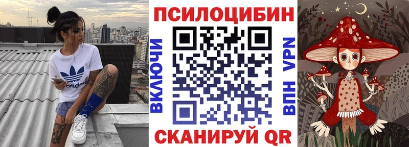 закладки  Александровское  Псилоцибиновые грибы мицелий 